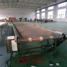 德隆工廠直銷 不銹鋼網帶傳送帶自動化輸送設備，食品專用解決方案