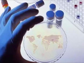 最新預(yù)測(cè)報(bào)告 未來全球石墨烯的九大發(fā)展趨勢(shì)